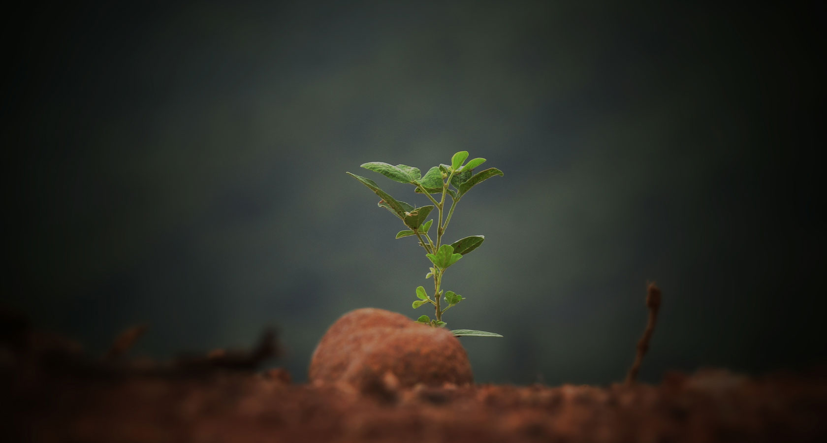 南宫NG·28(中国)相信品牌实力有限公司